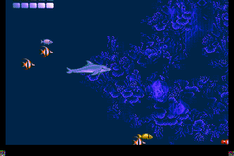 小海豚-退潮后的游戏时间(测试版)(美)